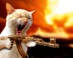 minou qi tire